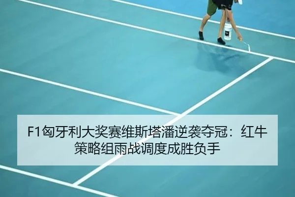 xiong-ya-li-da-jiang-sai-wei-si-ta-pan-ni-xi-duo-guan-hong-niu-ce-lve-zu-yu-zhan-diao-du-cheng-sheng-fu-shou-2-759.jpg